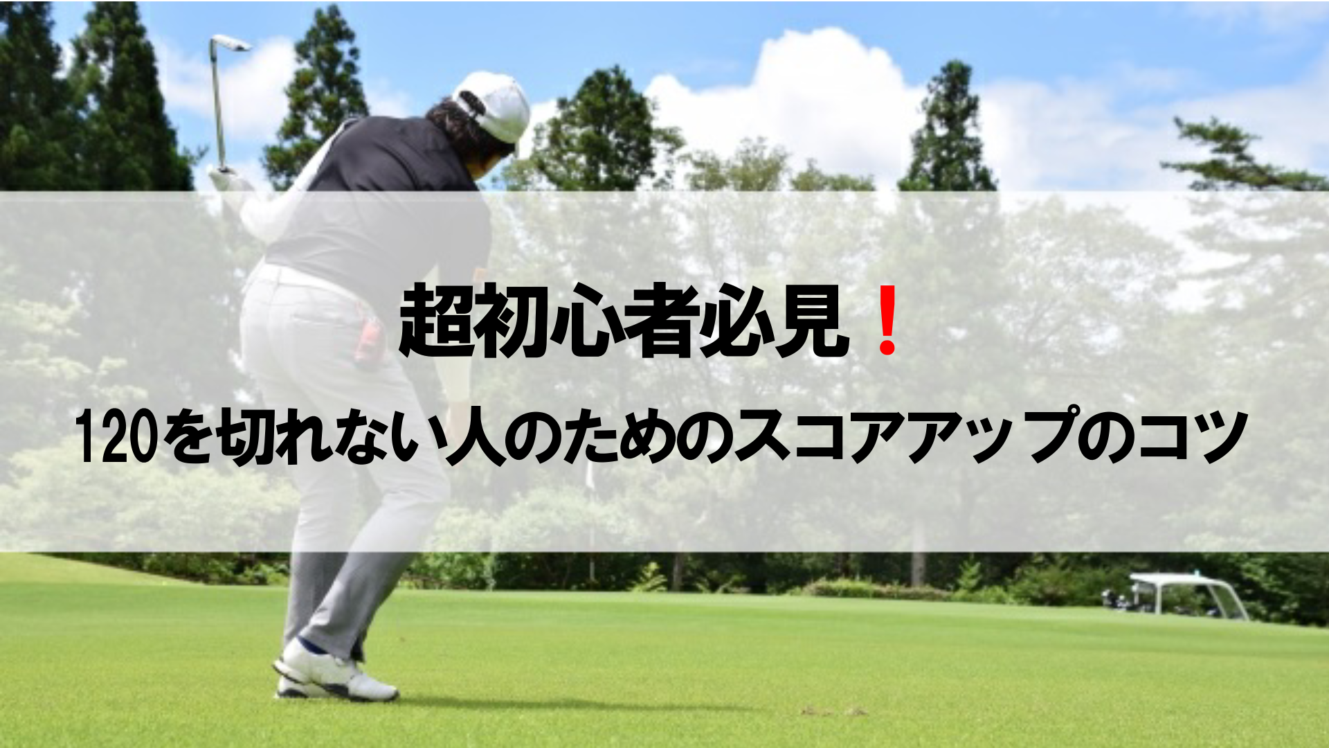 書き込み・虫食いあり】Golf初心者の為めに中古品です - 趣味/スポーツ 