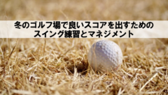 枯れた芝の上にあるゴルフボール